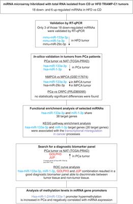 Hsa-miR-133a-3p, miR-1-3p, GOLPH3 and JUP combination results in a good biomarker to distinguish between prostate cancer and non-prostate cancer patients